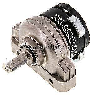 DSR-10-180-P (33297) Schwenkantrieb