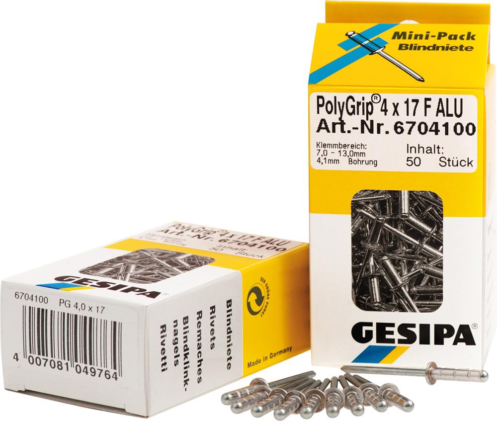 Mini-Pack PolyGrip Alu/Stahl 4,8 x 17 K 16