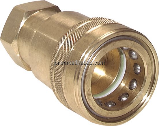 Exemplarische Darstellung: Hydraulik-Kupplung mit 