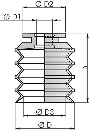 Zeichnung: Balgsauger
