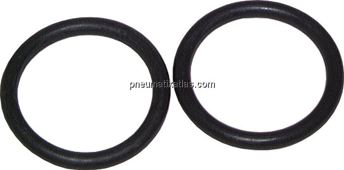 Exemplarische Darstellung: O-Ring für SAE-Flansch