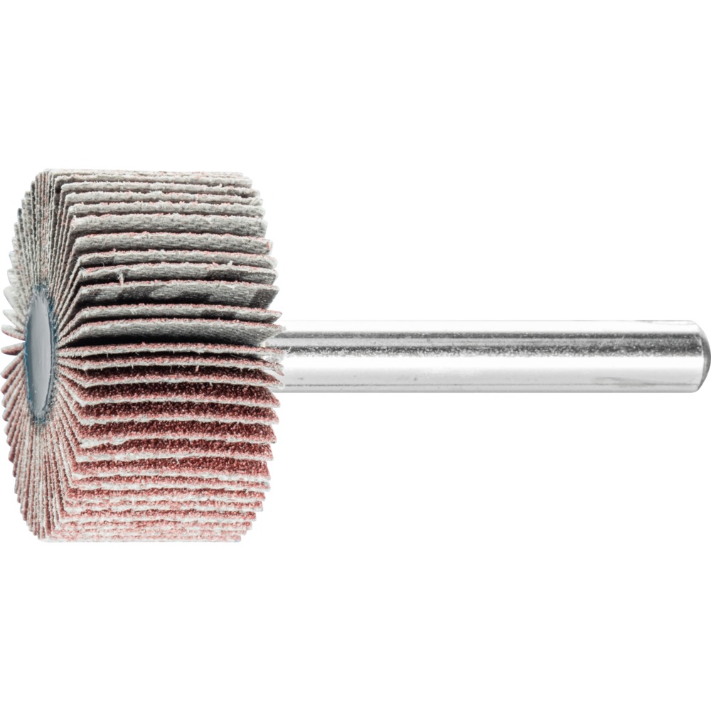Fächerschleifwerkzeuge F 3015/6 A 120