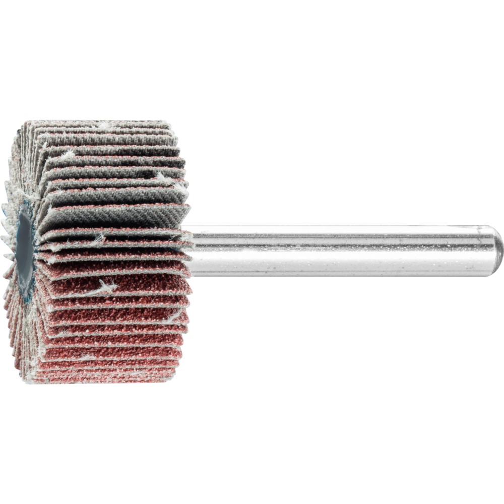Fächerschleifwerkzeuge F 3015/6 A 80