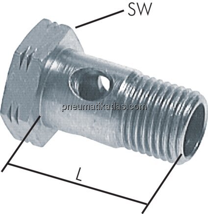 Exemplarische Darstellung: Hohlschraube (1-fach), 