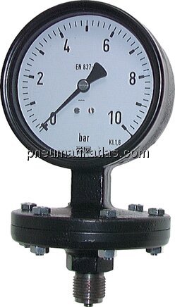 Exemplarische Darstellung: Plattenfeder-Manometer 