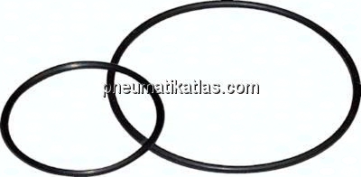 O-Ring für Feinfilter-Behälter, Standard 5