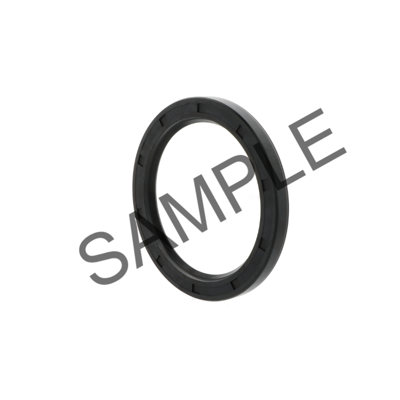 Wellendichtringe W145-170-15  B2