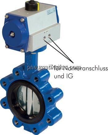 Exemplarische Darstellung: Anflanschklappe (mit In