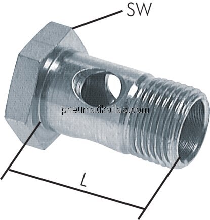 Exemplarische Darstellung: Hohlschraube (1-fach), 