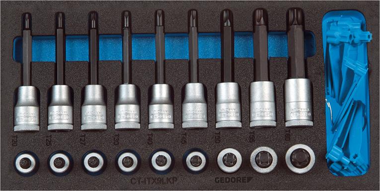 Werkzeugmodul 1/3 Schraubendrehereinsätze Torx Gedore Werkzeugmodul 1/3 Schraubendrehereinsätze Torx Gedore