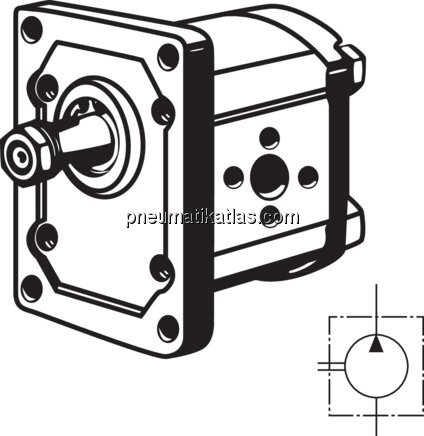 Exemplarische Darstellung: Hydraulik-Zahnradpumpe 