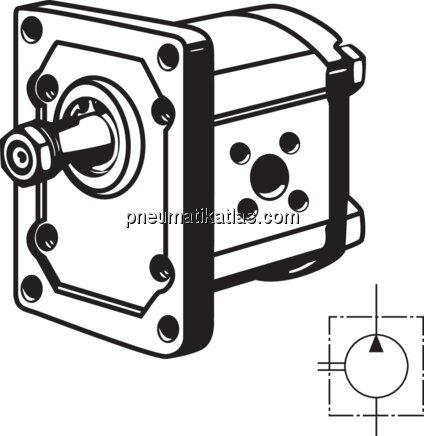 Exemplarische Darstellung: Hydraulik-Zahnradpumpe 