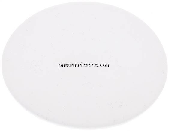 Dichtscheibe für Blindmutter DN 40, PTFE (weiß)