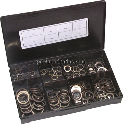 Exemplarische Darstellung: Hydraulik-Dichtring Sor